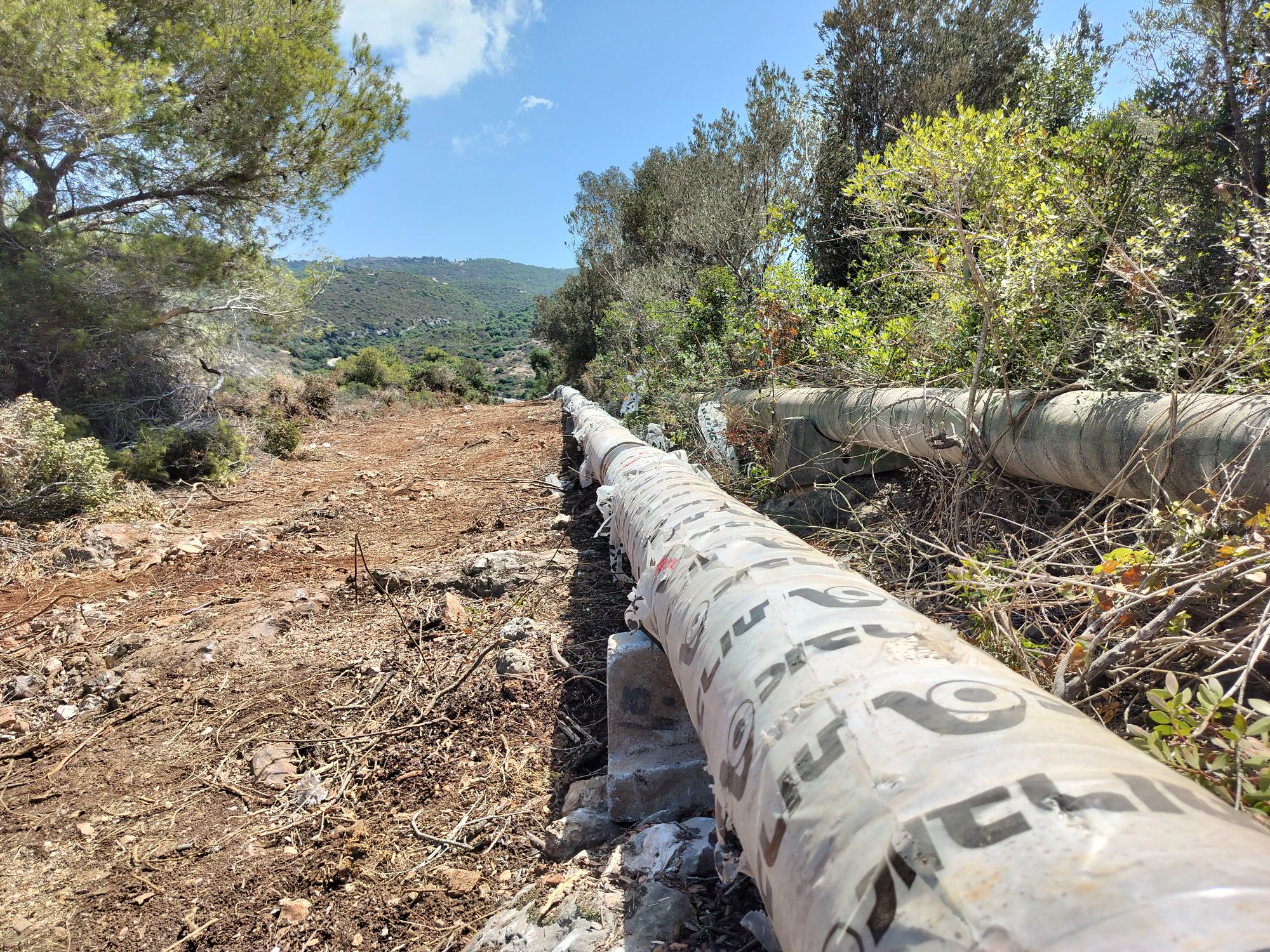 בית אורן